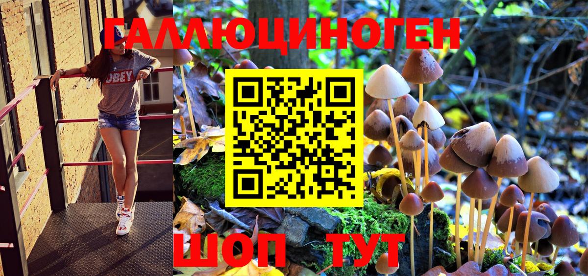 Псилоцибиновые грибы мицелий Ступино