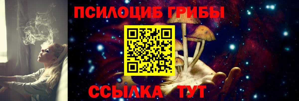 Псилоцибиновые грибы мицелий  Вход с VPN  Галлюциногенные грибы Psilocybe  Ступино 